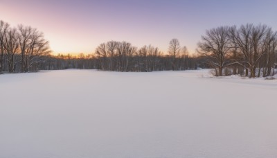 outdoors,sky,tree,no humans,nature,scenery,snow,forest,sunset,mountain,sun,winter,bare tree,gradient sky,sunrise,cloud,blue sky,watermark,grass,web address,road