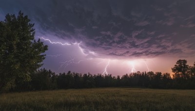 outdoors,sky,cloud,tree,no humans,cloudy sky,grass,nature,scenery,forest,sunset,electricity,lightning,field,landscape