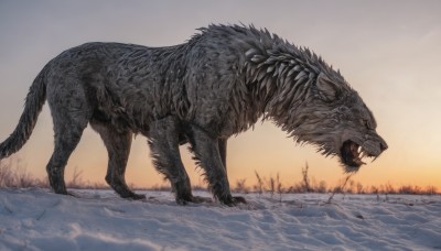 open mouth,tail,outdoors,sky,teeth,water,from side,tree,no humans,animal,fangs,sharp teeth,nature,monster,wolf,dinosaur,profile,ocean,snow,sunset,realistic,sand,bare tree