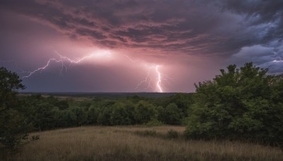 outdoors,sky,cloud,tree,no humans,cloudy sky,grass,nature,scenery,forest,electricity,lightning,landscape,ocean,sunset,horizon