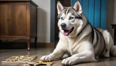 HQ,open mouth,blue eyes,full body,tongue,indoors,tongue out,no humans,animal,table,cat,curtains,dog,wooden floor,realistic,door,animal focus,solo,looking at viewer,lying,signature,fangs,on stomach,coin