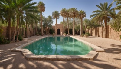 outdoors,sky,day,water,tree,blue sky,no humans,shadow,sunlight,plant,building,scenery,reflection,palm tree,pool,road,shade,reflective water,cloud,beach,grass,nature,forest,sand,bush,arch