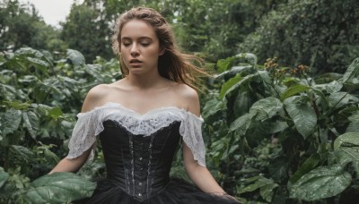 1girl,solo,long hair,brown hair,dress,bare shoulders,collarbone,closed eyes,upper body,outdoors,day,off shoulder,black dress,tree,lips,strapless,leaf,plant,nature,strapless dress,facing viewer,corset,realistic,flower,parted lips,blurry,forest