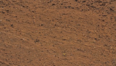 solo,outdoors,no humans,from above,traditional media,scenery,sand,brown theme,ground vehicle,motor vehicle,road,desert,footprints