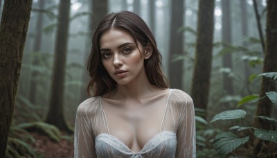 1girl,solo,long hair,breasts,looking at viewer,brown hair,dress,cleavage,brown eyes,medium breasts,collarbone,upper body,small breasts,outdoors,parted lips,white dress,blurry,tree,lips,see-through,depth of field,blurry background,leaf,plant,nature,forest,realistic,day,freckles