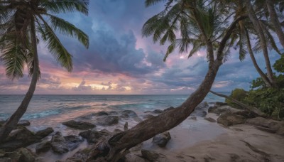 outdoors,sky,day,cloud,water,tree,blue sky,dutch angle,no humans,ocean,beach,sunlight,cloudy sky,scenery,sunset,rock,sand,palm tree,horizon,shore,plant,nature