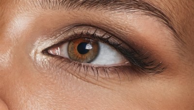 solo,looking at viewer,1boy,brown eyes,male focus,eyelashes,close-up,1other,realistic,eye focus,1girl,yellow eyes,no humans,slit pupils