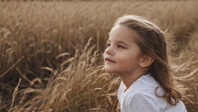 1girl,solo,long hair,blue eyes,brown hair,shirt,closed mouth,white shirt,upper body,outdoors,blurry,from side,lips,grass,child,realistic,nose,field,wheat,depth of field,blurry background,wind,portrait,looking afar