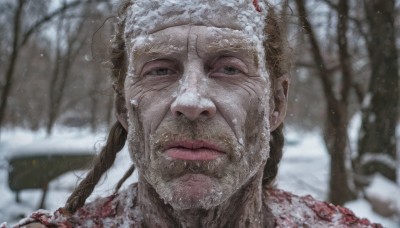 solo,long hair,looking at viewer,brown hair,1boy,closed mouth,braid,male focus,outdoors,day,blurry,black eyes,twin braids,tree,lips,blurry background,facial hair,portrait,nature,snow,forest,snowing,realistic,winter,bare tree,hat,blood,beard,manly