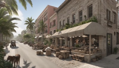 outdoors,sky,day,cloud,blurry,tree,blue sky,no humans,window,animal,umbrella,chair,beach,table,plant,building,scenery,city,sand,palm tree,door,potted plant,road,house,street,shop,barrel,crate,cart,multiple boys,depth of field,ground vehicle,motor vehicle,dog,sign