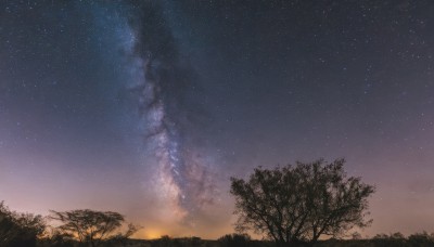 outdoors,sky,cloud,tree,no humans,night,grass,star (sky),nature,night sky,scenery,starry sky,sunset,twilight,gradient sky,milky way