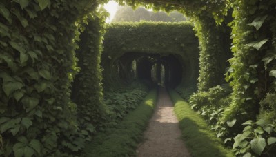 outdoors,day,tree,no humans,shadow,leaf,sunlight,grass,plant,nature,scenery,forest,road,bush,shade,dappled sunlight,green theme,path,moss,signature,vines