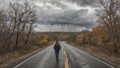 1girl,solo,short hair,black hair,long sleeves,1boy,standing,jacket,male focus,outdoors,sky,shoes,day,pants,cloud,hood,bag,from behind,black footwear,tree,backpack,cloudy sky,denim,nature,scenery,forest,walking,jeans,blue pants,facing away,road,wide shot,bare tree,fog,grey sky,path,railroad tracks,overcast,coat,hoodie,hood down,grass,mountain,hands in pockets,landscape