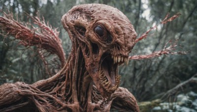 solo,open mouth,blue eyes,outdoors,teeth,day,blurry,tree,no humans,blurry background,sharp teeth,nature,1other,forest,monster,realistic,branch,extra eyes,horror (theme),blood,depth of field,alien,eldritch abomination