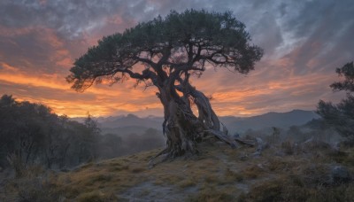 outdoors,sky,cloud,tree,no humans,cloudy sky,grass,nature,scenery,forest,sunset,mountain,twilight,evening,landscape,sunlight,plant,mountainous horizon