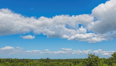 outdoors,sky,day,cloud,tree,blue sky,no humans,cloudy sky,grass,nature,scenery,forest,landscape