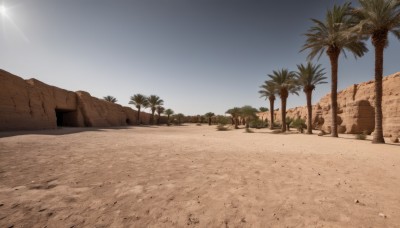 outdoors,sky,day,tree,blue sky,no humans,beach,sunlight,building,scenery,rock,sand,palm tree,sun,desert,cloud,water,ocean,horizon