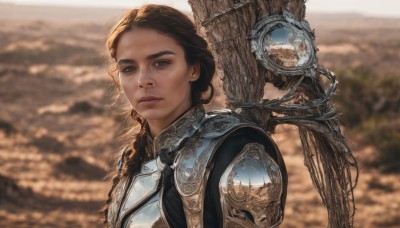 1girl,solo,long hair,looking at viewer,blue eyes,brown hair,closed mouth,upper body,braid,outdoors,armor,blurry,lips,single braid,blurry background,shoulder armor,portrait,hair over shoulder,pauldrons,breastplate,realistic,fantasy,day,depth of field,expressionless