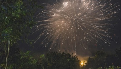 outdoors,sky,cloud,tree,no humans,night,plant,nature,night sky,scenery,forest,lantern,light,fireworks,aerial fireworks,signature,star (sky),dark