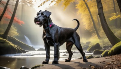 HQ,solo,standing,full body,outdoors,day,signature,water,collar,tree,no humans,animal,leaf,sunlight,nature,scenery,forest,dog,light rays,rock,realistic,autumn leaves,animal focus,autumn,stream,open mouth,tongue,fangs,animal collar