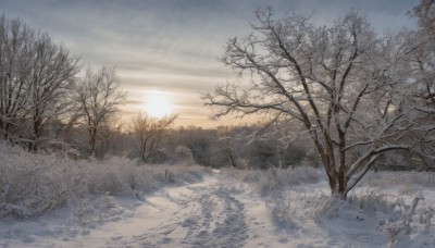 outdoors,sky,day,cloud,tree,no humans,sunlight,cloudy sky,grass,nature,scenery,snow,forest,sunset,mountain,sun,winter,bare tree,landscape,sunrise,water,ocean,horizon