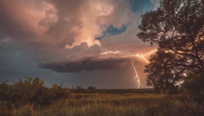 outdoors,sky,cloud,signature,tree,no humans,cloudy sky,grass,nature,scenery,forest,sunset,electricity,lightning,landscape,horizon,field