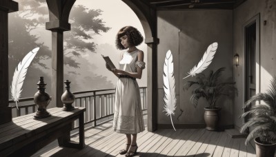 1girl,solo,short hair,brown hair,dress,holding,bare shoulders,brown eyes,closed mouth,standing,sleeveless,indoors,dark skin,white dress,dark-skinned female,tree,book,window,sleeveless dress,shadow,sandals,table,sunlight,feathers,plant,scenery,armlet,curly hair,wooden floor,paper,door,railing,potted plant,grey dress,clipboard,quill,smile,black hair,jewelry,full body,holding book,sundress,reading