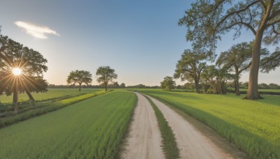 outdoors,sky,day,cloud,tree,blue sky,no humans,sunlight,grass,nature,scenery,sunset,sun,road,path,hill,forest,horizon,bush,field,landscape