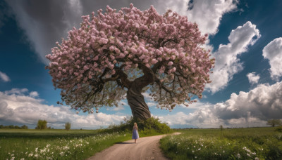 1girl, solo, long hair, dress, standing, flower, outdoors, sky, day, cloud, tree, cloudy sky, grass, scenery, field