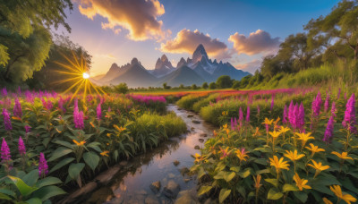 flower, outdoors, sky, cloud, water, tree, blue sky, no humans, sunlight, cloudy sky, grass, nature, scenery, sunset, rock, mountain, yellow flower, purple flower, sun, landscape, mountainous horizon