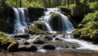 outdoors,day,water,tree,no humans,nature,scenery,forest,rock,river,waterfall,landscape,moss,stream,sunlight