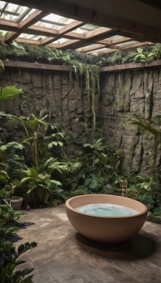 outdoors,day,indoors,water,tree,no humans,window,sunlight,plant,scenery,potted plant,vines,flower pot,moss,overgrown,leaf,bowl