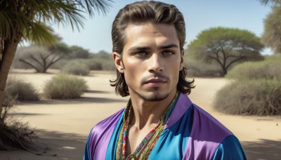 HQ,solo,looking at viewer,brown hair,1boy,brown eyes,jewelry,closed mouth,upper body,male focus,outdoors,sky,day,necklace,blurry,tree,blue sky,blurry background,facial hair,portrait,beard,realistic,sand,palm tree,stubble,desert,lips,beach,sunlight,grass