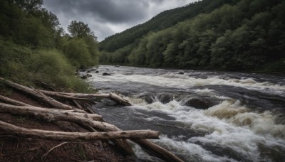 outdoors,sky,day,cloud,water,tree,no humans,cloudy sky,nature,scenery,forest,mountain,river,waves,landscape,grey sky,ocean,grass,log,overcast