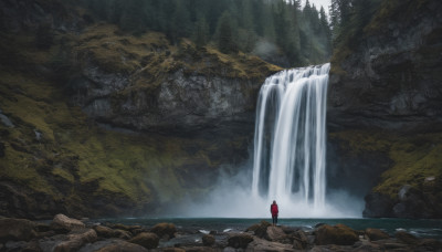 solo, standing, outdoors, water, from behind, tree, nature, scenery, 1other, forest, rock, waterfall, ambiguous gender