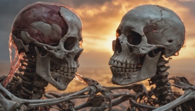 solo,red eyes,outdoors,sky,teeth,cloud,blurry,from side,no humans,blurry background,glowing,skull,sunset,realistic,skeleton,bone,depth of field,cloudy sky,glowing eyes,undead