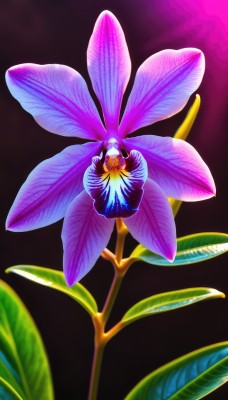 1girl,solo,long hair,simple background,dress,closed eyes,flower,wings,signature,blurry,no humans,leaf,plant,black background,minigirl,fairy,gradient,gradient background,glowing,pink flower,purple background,blue flower,yellow flower,purple flower,still life,morning glory