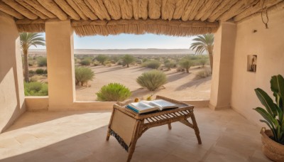 outdoors,sky,day,tree,blue sky,book,no humans,shadow,ocean,chair,beach,table,plant,building,scenery,sand,palm tree,basket,potted plant,carpet,rug,cloud,window,grass,door,bush,shade,architecture,pillar,flower pot,path