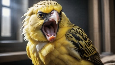 HQ,solo,looking at viewer,open mouth,tongue,indoors,blurry,no humans,blurry background,bird,animal,realistic,animal focus,beak,yellow eyes,upper body,teeth,tongue out,pokemon (creature),window,saliva,fangs,parody