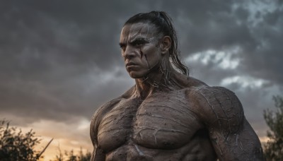 solo,long hair,black hair,1boy,closed mouth,upper body,ponytail,male focus,outdoors,sky,cloud,dark skin,blurry,tree,muscular,blurry background,scar,dark-skinned male,cloudy sky,pectorals,muscular male,bara,veins,topless male,realistic,manly,veiny arms,short hair,nipples,nude,wet,abs,large pectorals