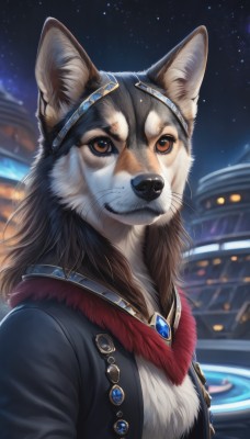 1girl,solo,long hair,looking at viewer,brown hair,animal ears,brown eyes,jewelry,closed mouth,upper body,outdoors,sky,artist name,signature,necklace,blurry,black jacket,no humans,night,blurry background,headband,animal,brooch,gem,star (sky),night sky,furry,starry sky,dog,furry female,body fur,whiskers,snout,jacket,animal ear fluff,fur trim,fur collar,animal focus,shiba inu