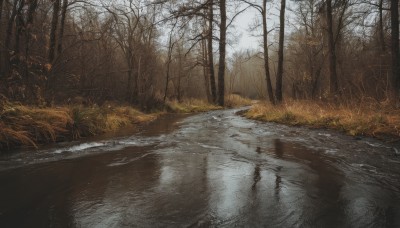 outdoors,sky,day,water,tree,no humans,grass,nature,scenery,forest,reflection,road,bare tree,river,fog,reflective water,cloud,realistic,landscape,lake