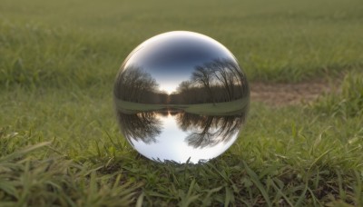 outdoors,sky,day,blurry,tree,no humans,grass,nature,scenery,reflection,field,cloud,bird