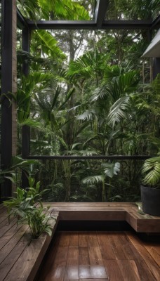 day,indoors,tree,no humans,window,leaf,sunlight,plant,nature,scenery,wooden floor,potted plant