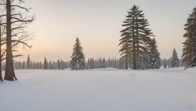 outdoors,sky,cloud,tree,no humans,nature,scenery,snow,forest,reflection,sunset,winter,bare tree,lake,pine tree,monochrome,mountain,sun,landscape,fog