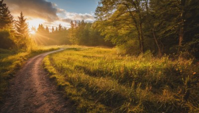 outdoors,sky,day,cloud,tree,blue sky,no humans,sunlight,cloudy sky,grass,plant,nature,scenery,forest,sunset,light rays,sun,road,field,landscape,path,autumn