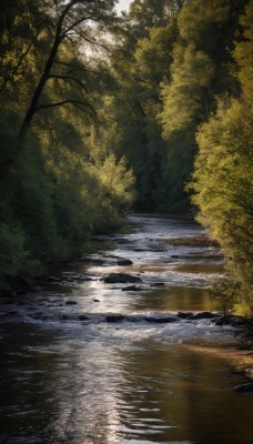 outdoors,day,water,tree,no humans,sunlight,nature,scenery,forest,reflection,bush,river,lake,reflective water,sky,grass,plant