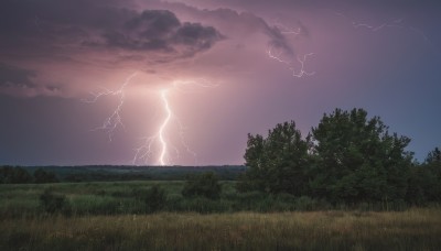 outdoors,sky,cloud,tree,no humans,cloudy sky,grass,nature,scenery,forest,mountain,electricity,lightning,landscape,purple sky,horizon,field