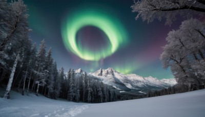 outdoors,sky,tree,no humans,night,moon,star (sky),nature,night sky,scenery,snow,forest,starry sky,mountain,crescent moon,winter,bare tree,landscape,pine tree,aurora,water