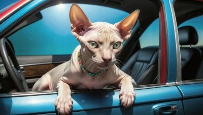 HQ,looking at viewer,jewelry,green eyes,necklace,no humans,animal,cat,ground vehicle,motor vehicle,realistic,car,animal focus,vehicle focus,whiskers,driving,car interior,steering wheel,seat,solo,sky,slit pupils,claws